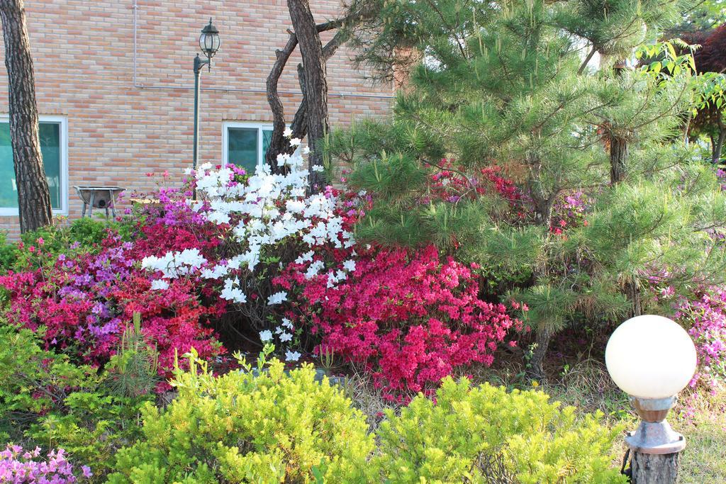 Yeowoogneul Pension Chuncheon Exterior photo