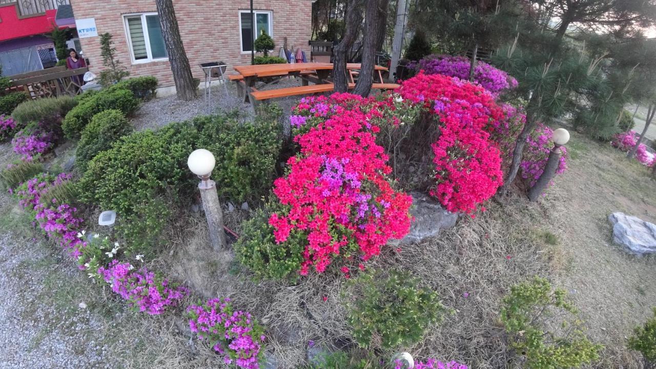Yeowoogneul Pension Chuncheon Exterior photo